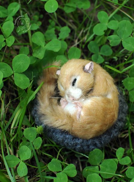 The Dormouse