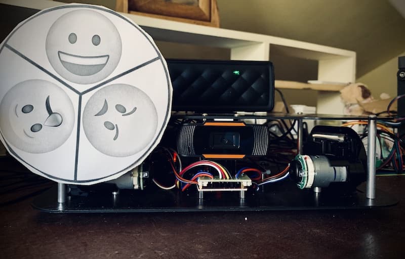 Rosey the Robot