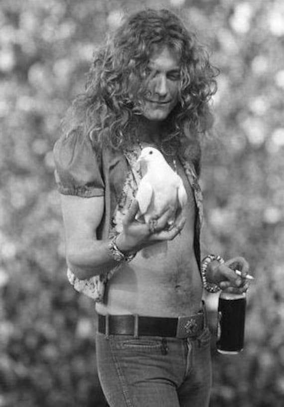Robert Plant