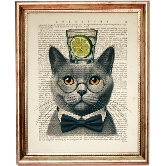 Chemistry Cat