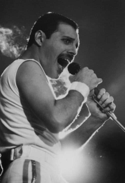 Freddie Mercury