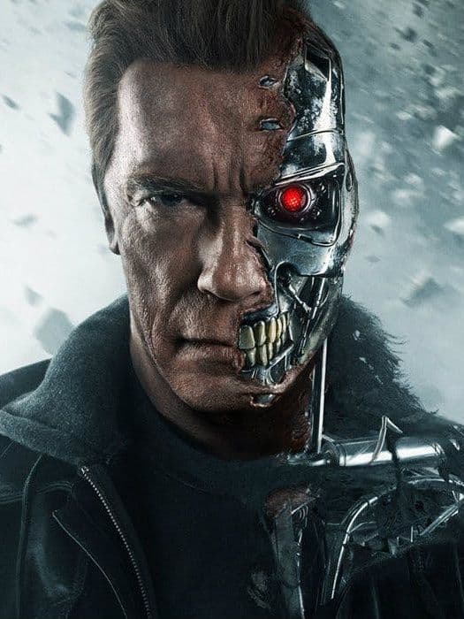 The Terminator (T-800)