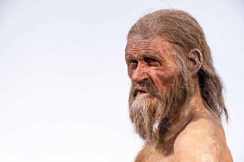 Ötzi the Iceman
