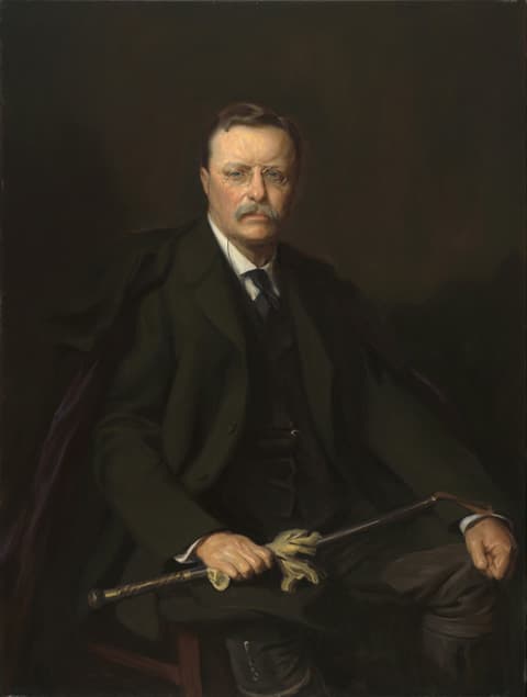Theodore Roosevelt