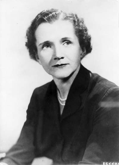 Rachel Carson