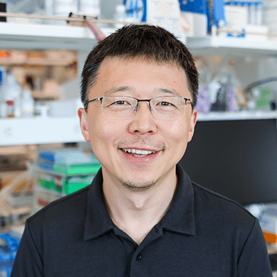 Feng Zhang